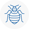 Bed Bug Extermination In Morecambe